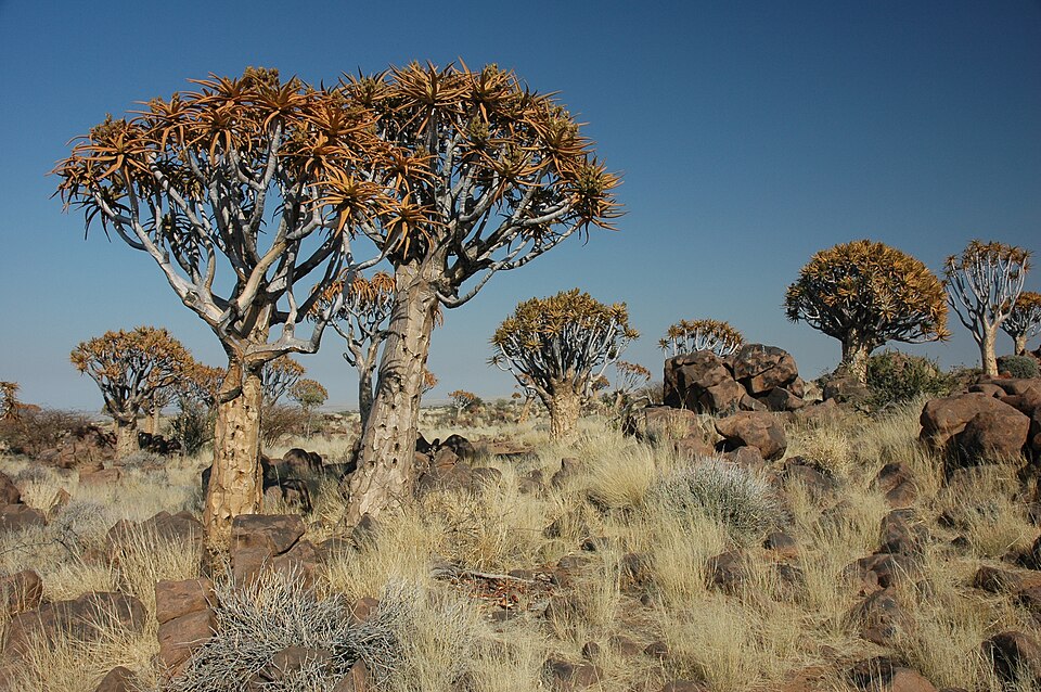 Natuurspeelplaats ’t Beestenbos