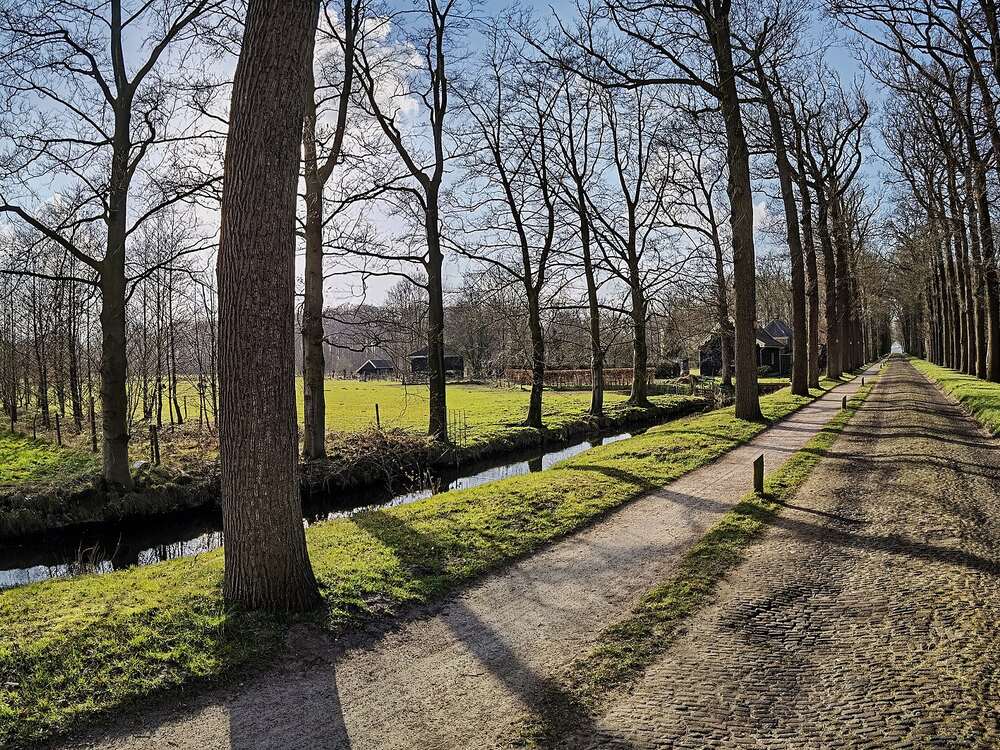 Lange laan met kinderkopjes en dubbele rijen bomen, met daarnaast een wandelpad, een sloot en weilanden, op landgoed Oldenaller bij Putten