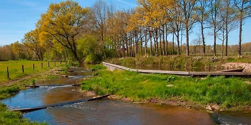 Hoeverveldpad Putten — natuur in Putten