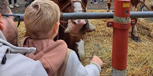 Ossenmarkt 2026 — familie-kids in Putten