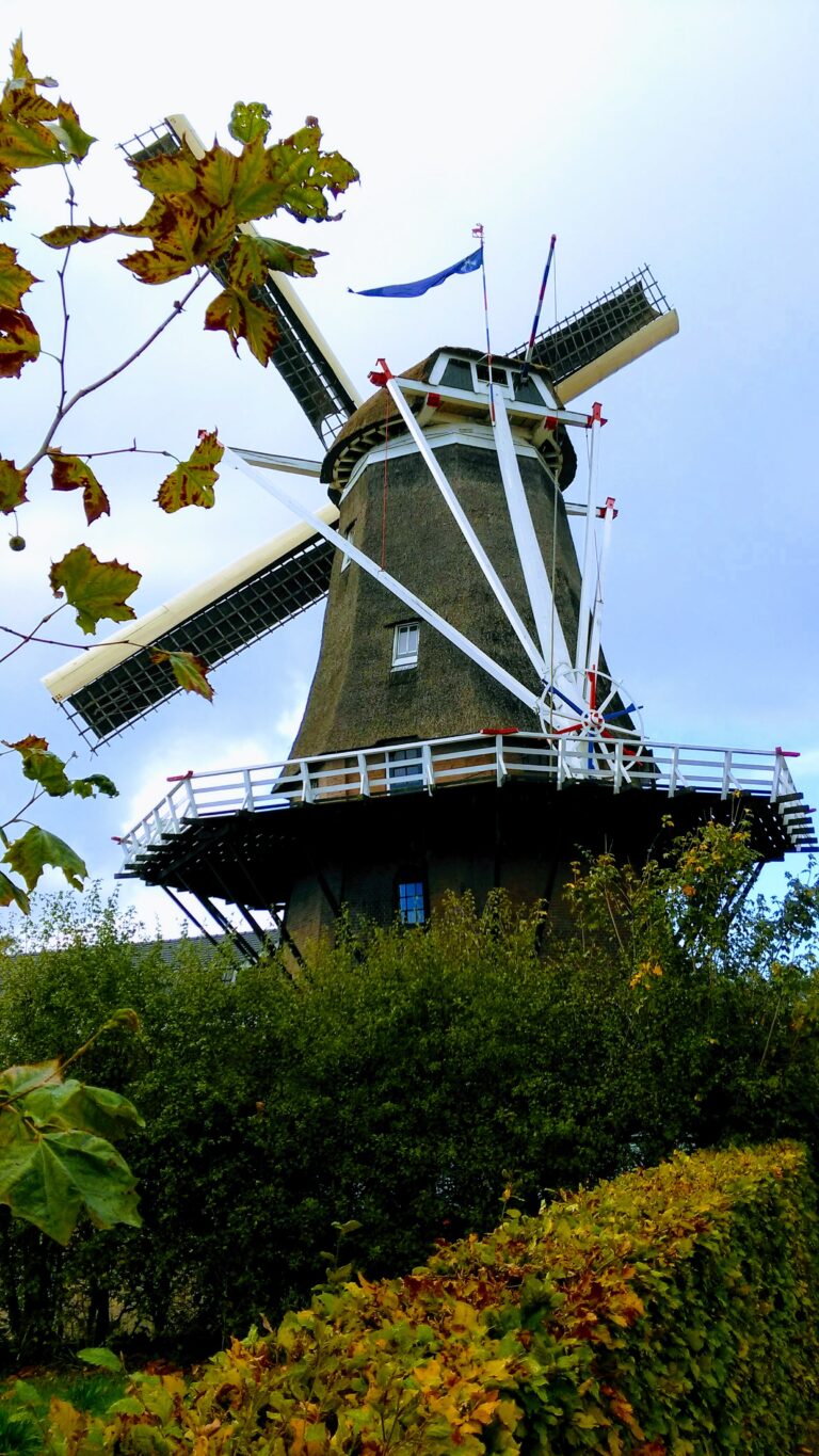 Draaidag Molen ’t Hert — open-dag in Putten