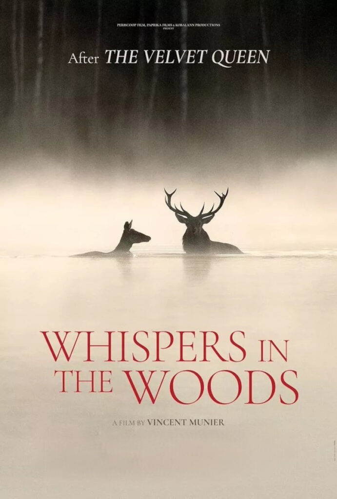 Whispers in the Woods in Putten