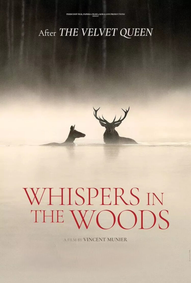 Whispers in the Woods — Film in Putten