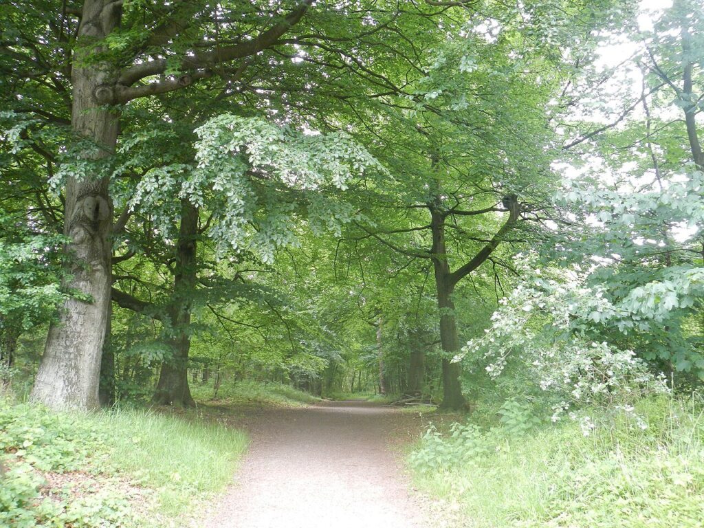 Leeskring Theologie in Putten