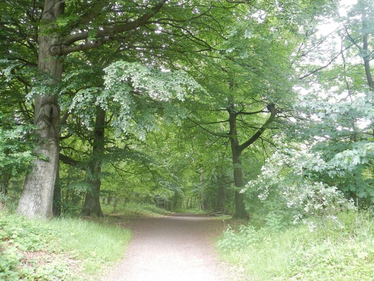 Leeskring Theologie — natuur in Putten